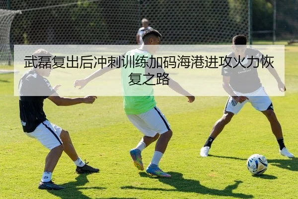 武磊复出后冲刺训练加码海港进攻火力恢复之路
